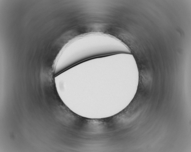 X0000110740380200907271106