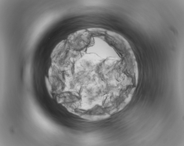 X0000110740381200907271106