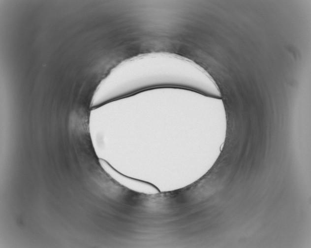 X0000110740384200907271106