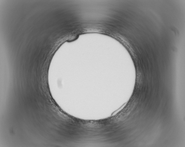 X0000110740385200907271106