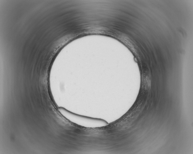 X0000110740389200907271106