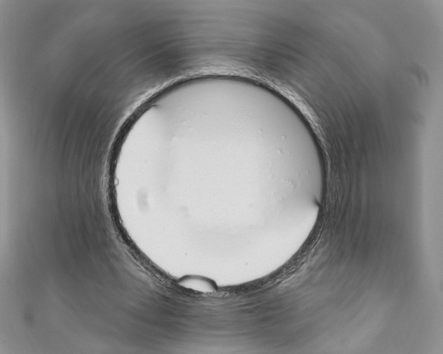 X0000110740391200907271106