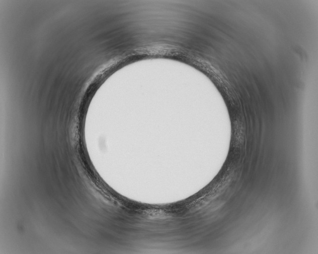 X0000110740392200907271106