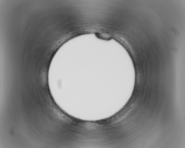 X0000110740393200907271106