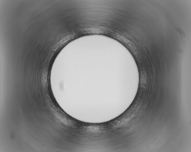 X0000110740394200907271106