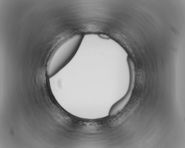 X0000110740395200907271106