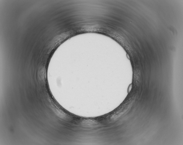 X0000110740397200907271106