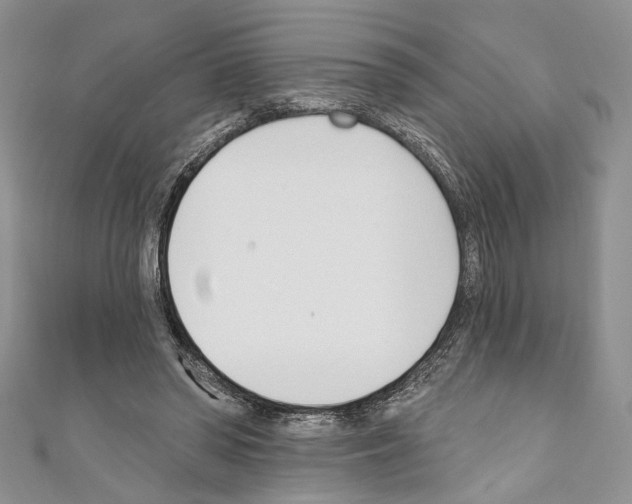 X0000110740398200907271106