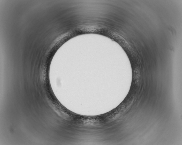 X0000110740400200907271105