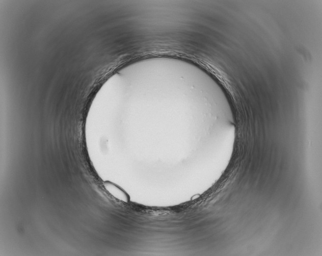 X0000110740401200907271105
