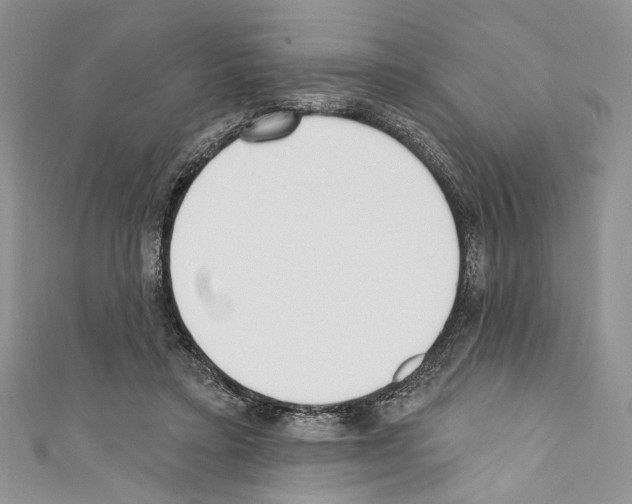 X0000110740403200907271105