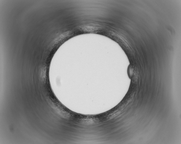 X0000110740404200907271105