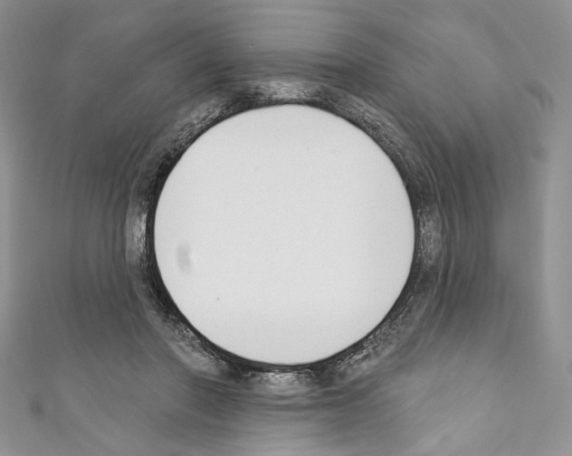 X0000110740406200907271105