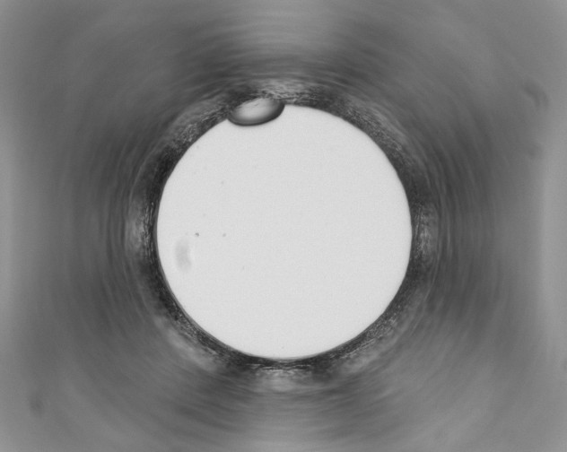 X0000110740408200907271105