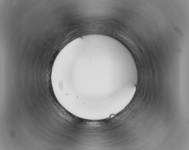 X0000110740409200907271105