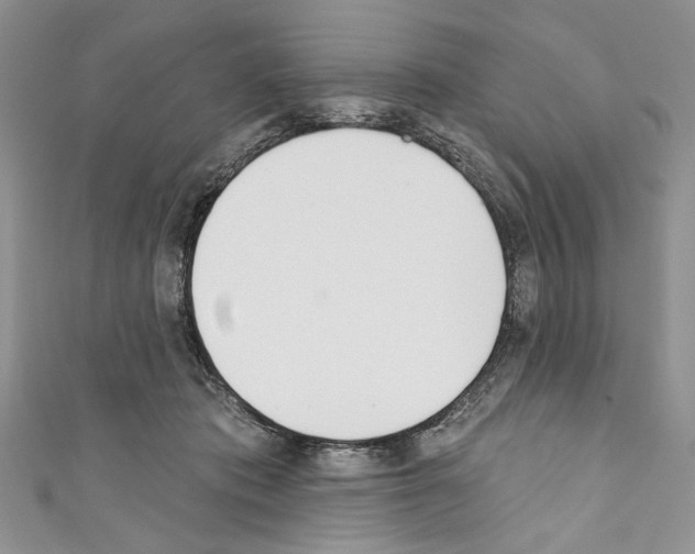 X0000110740413200907271105