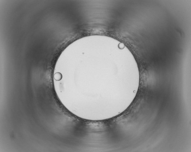 X0000110740415200907271105