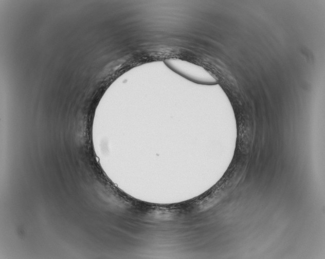 X0000110740416200907271105