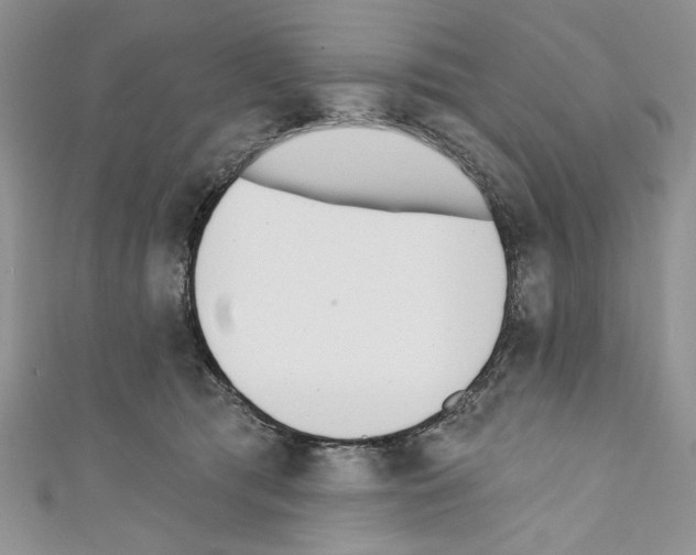 X0000110740417200907271105