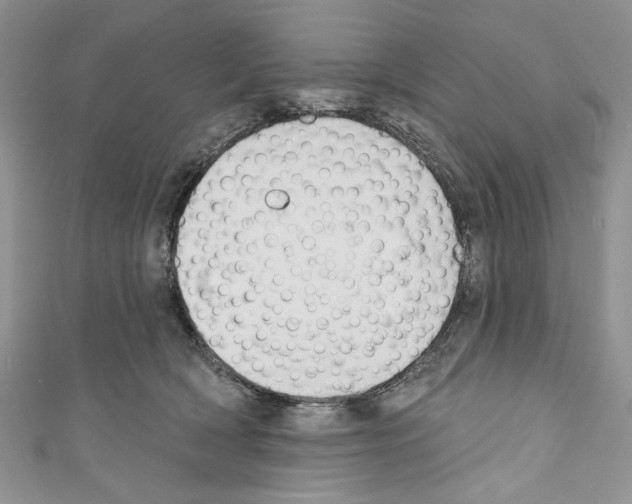 X0000110740418200907271105