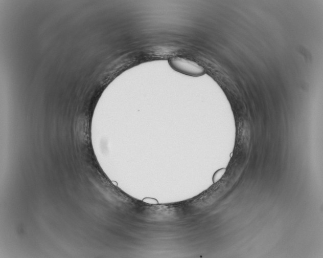 X0000110740421200907271105