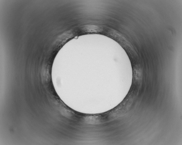 X0000110740422200907271105