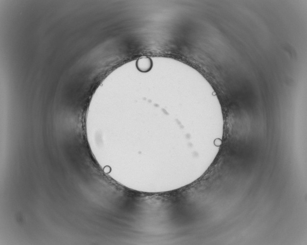 X0000110740423200907271105
