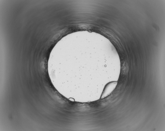 X0000110740424200907271105