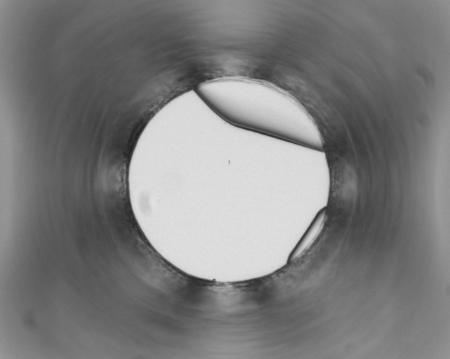 X0000110740425200907271105