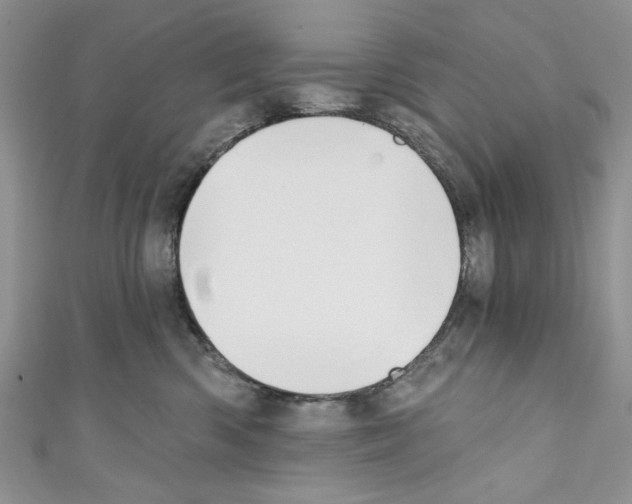 X0000110740426200907271105