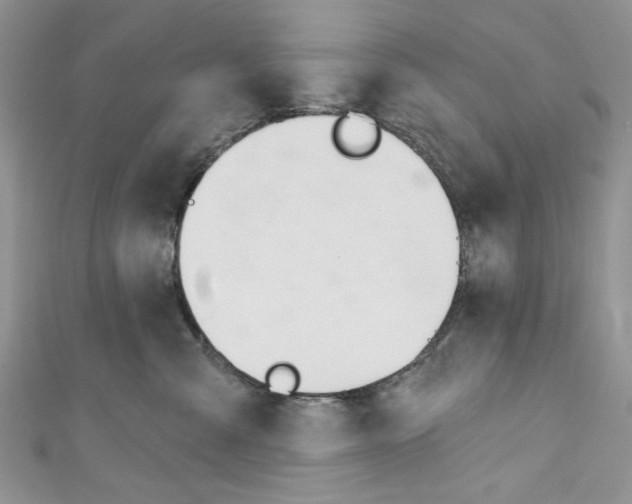 X0000110740427200907271105