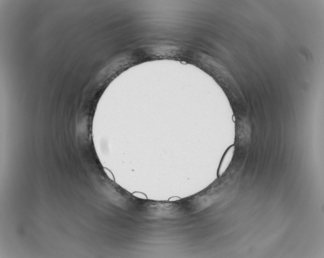 X0000110740428200907271105
