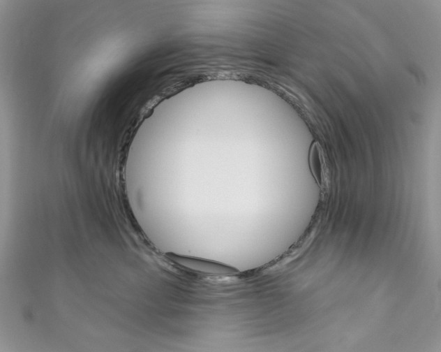 X0000110740429200907271105