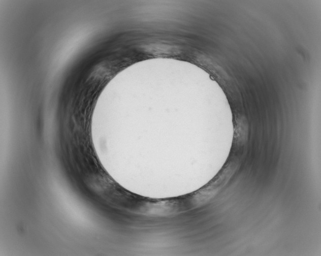 X0000110740430200907271105