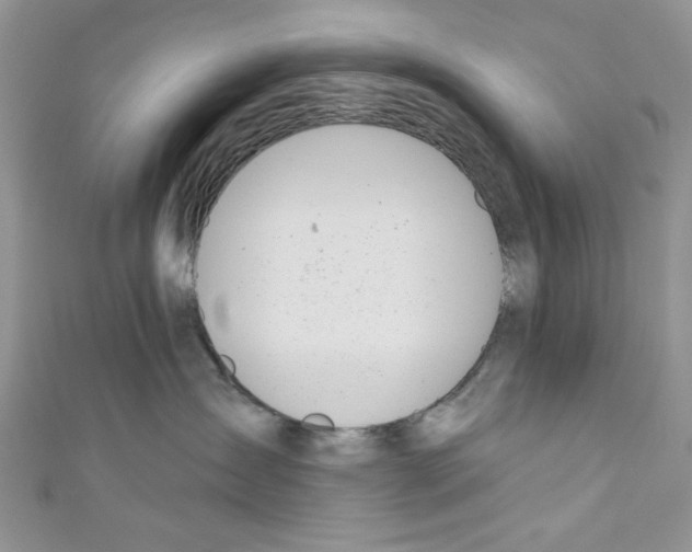 X0000110740431200907271105