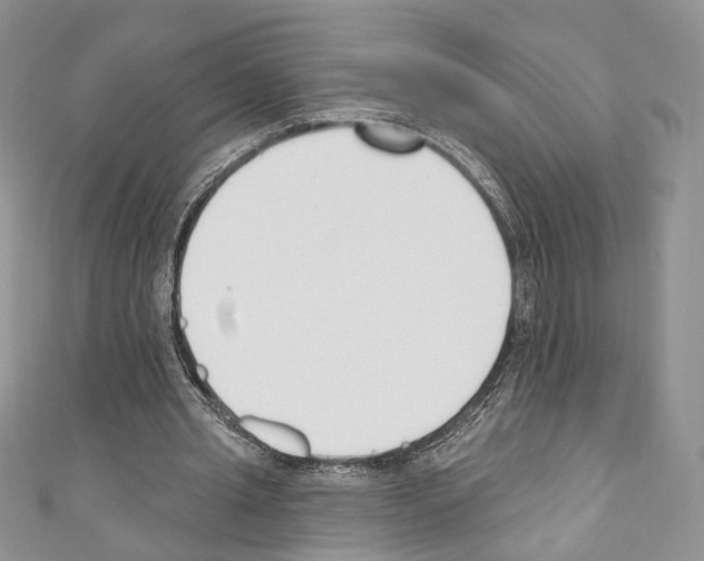 X0000110740437200907271105