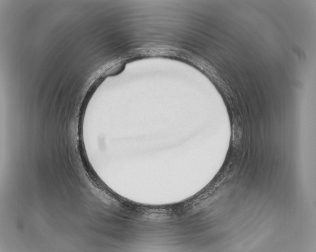 X0000110740438200907271105