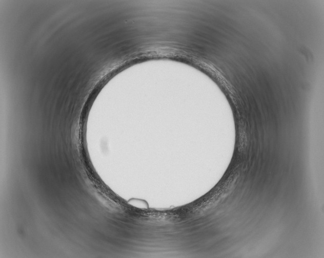 X0000110740439200907271105