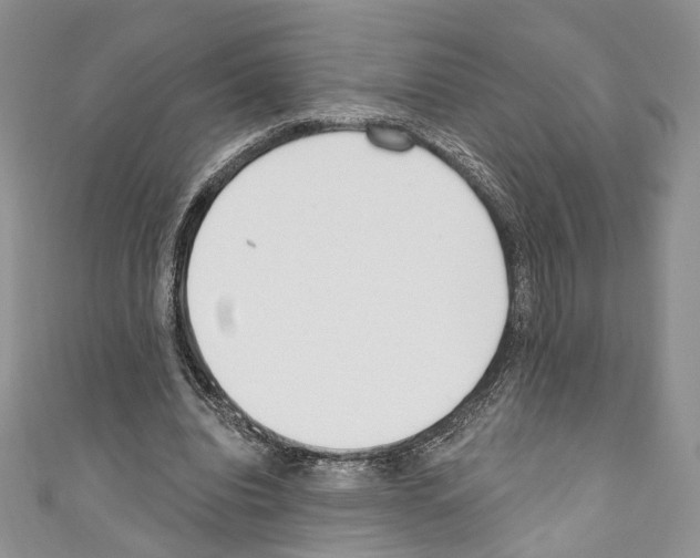 X0000110740440200907271105