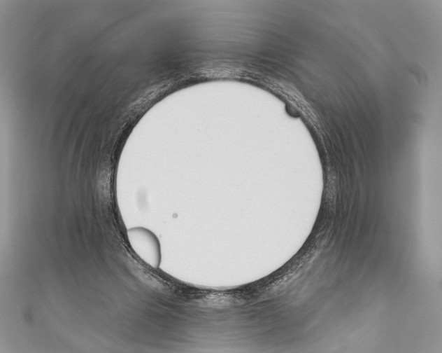 X0000110740441200907271105