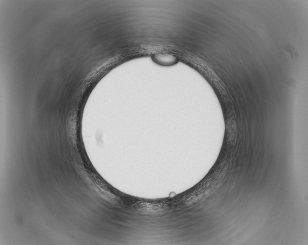 X0000110740442200907271105
