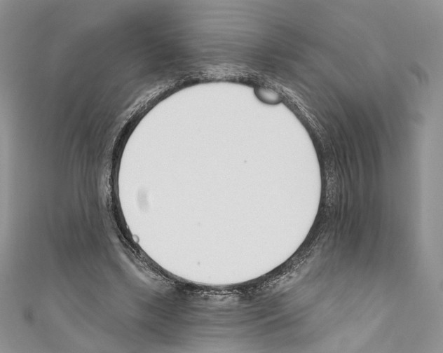 X0000110740443200907271105