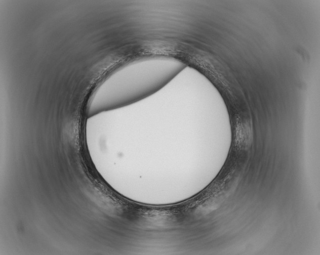 X0000110740444200907271105