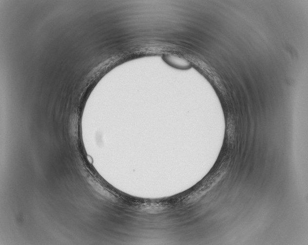 X0000110740445200907271105