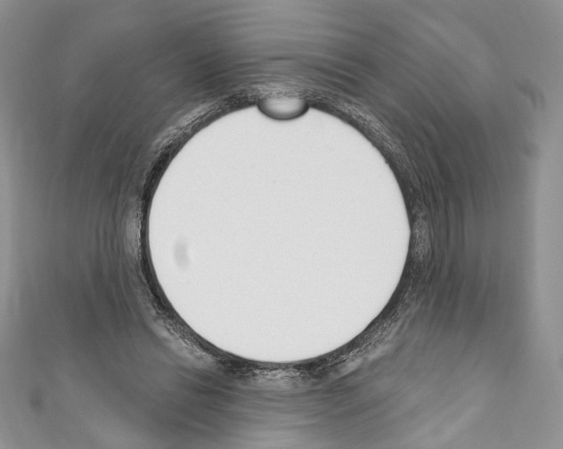 X0000110740446200907271105