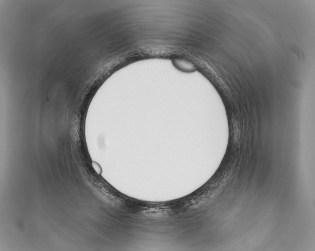 X0000110740447200907271105