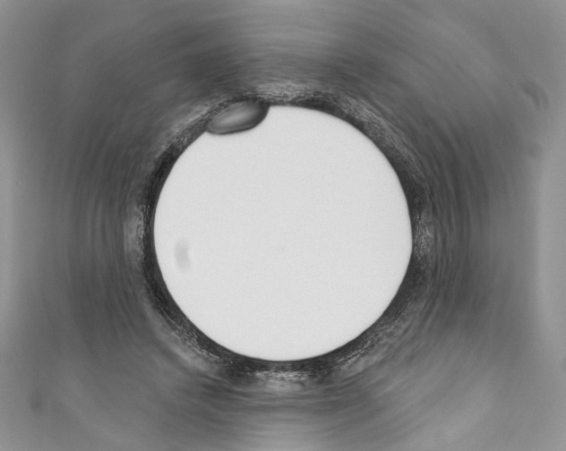 X0000110740448200907271105