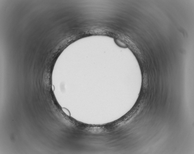 X0000110740449200907271105