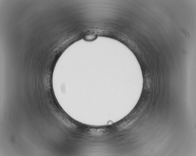 X0000110740450200907271105