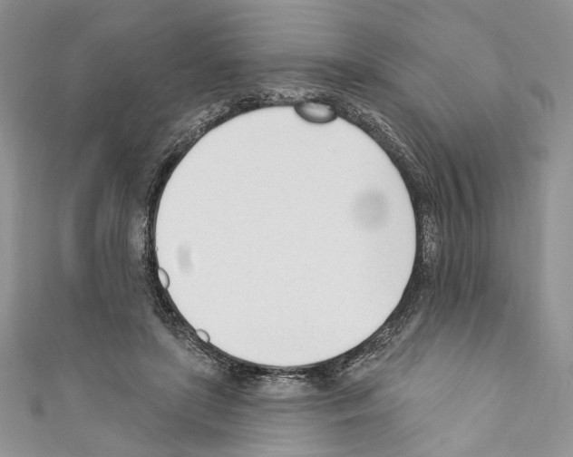 X0000110740451200907271105